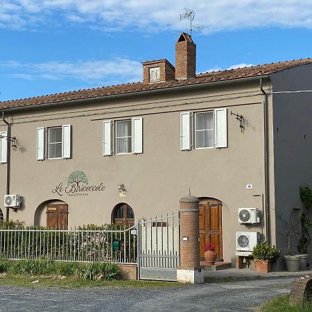 Agriturismo Le Biricoccole Vada Exterior photo