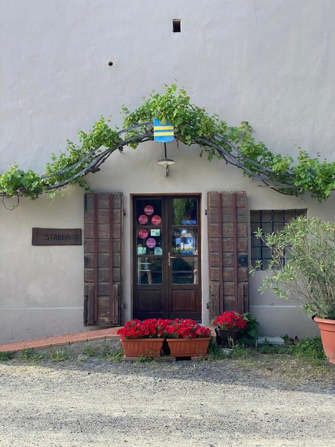 Agriturismo Le Biricoccole Vada Exterior photo